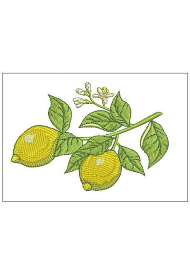 Plf080 - Lemon branch